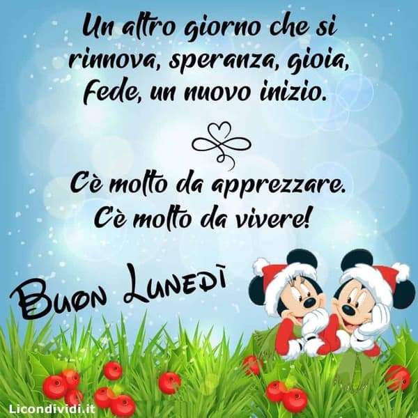 Immagini Buon lunedi