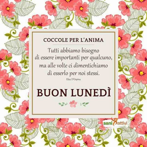 Immagini Buon lunedi