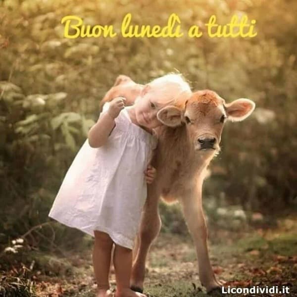 Immagini Buon lunedi