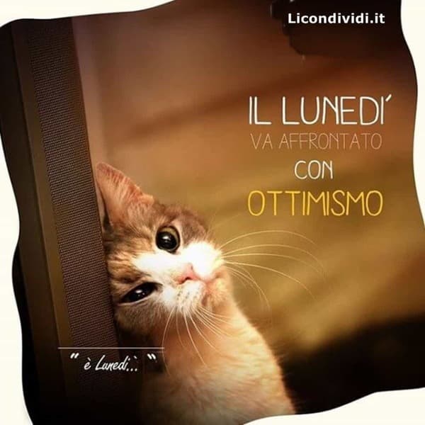 Immagini Buon lunedi