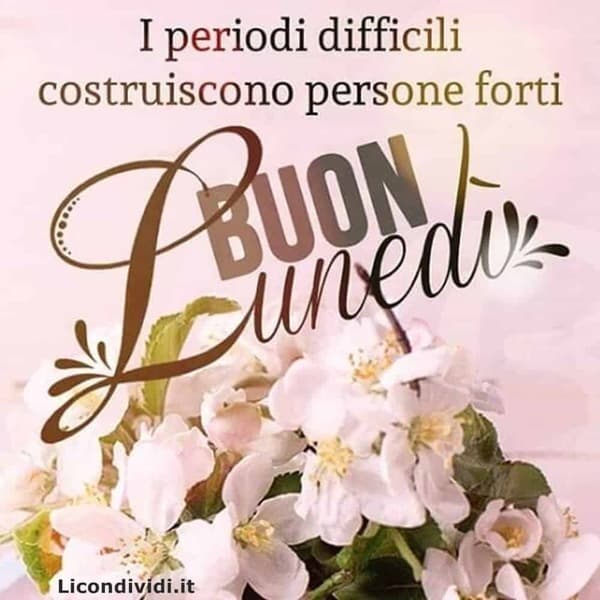 Immagini Buon lunedi