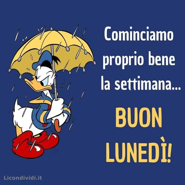 Immagini Buon lunedi