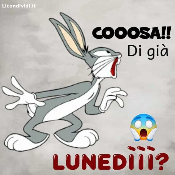 Immagini Buon lunedi