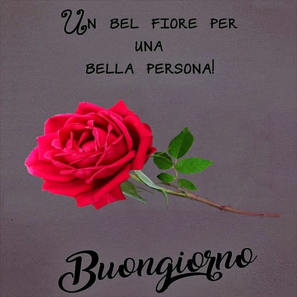 immagini buongiorno