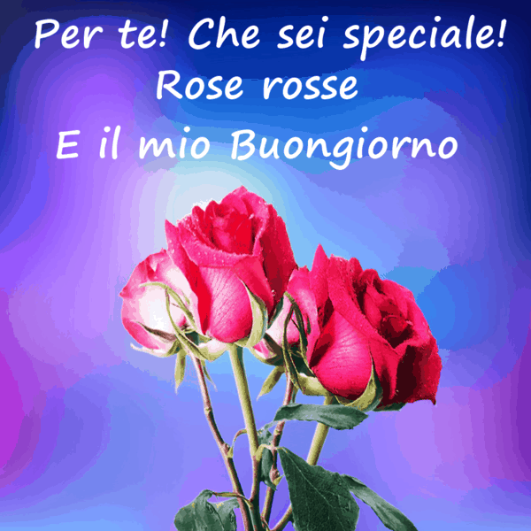 immagini buongiorno
