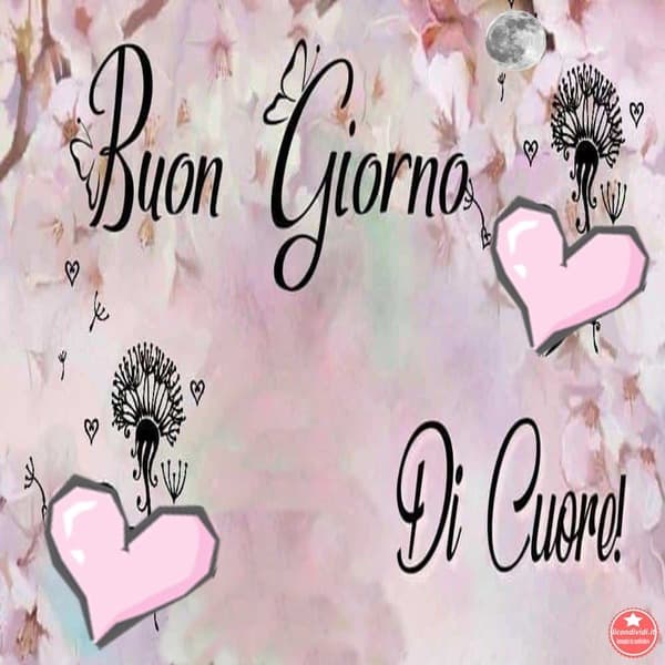 immagini buongiorno