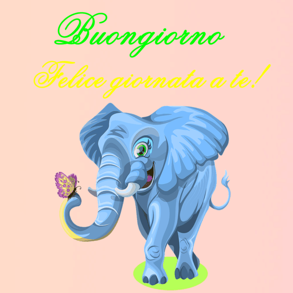 immagini buongiorno