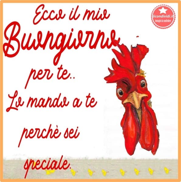 immagini buongiorno