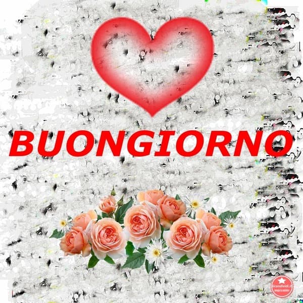 immagini buongiorno