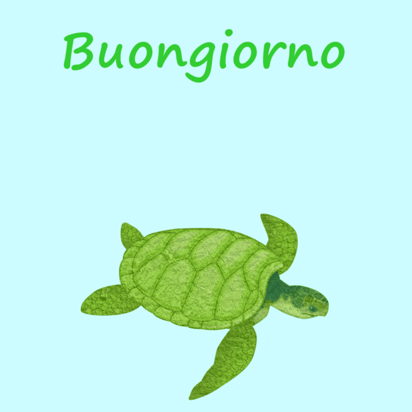 immagini buongiorno