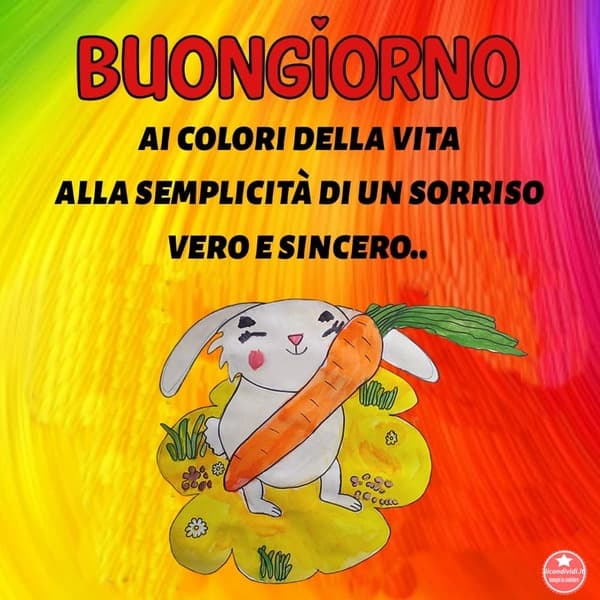 immagini buongiorno