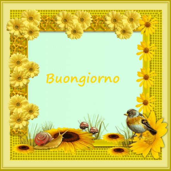 immagini buongiorno