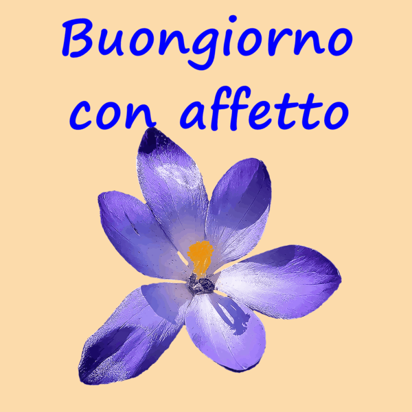 immagini buongiorno