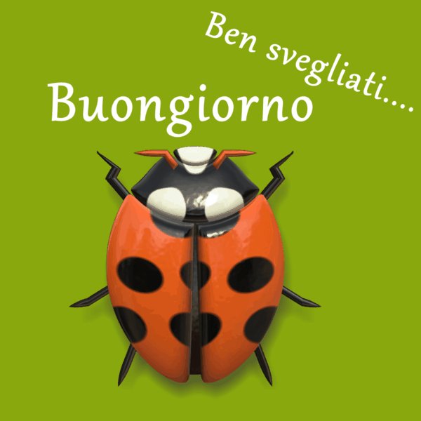 immagini buongiorno