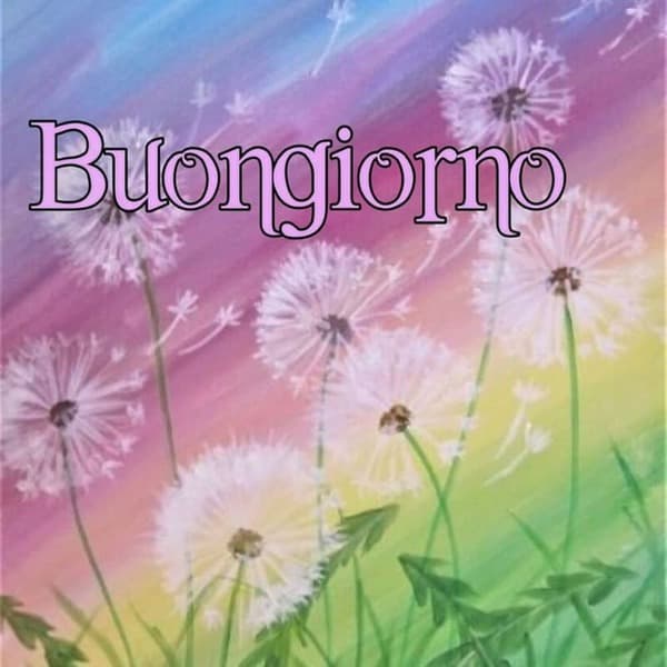 immagini buongiorno