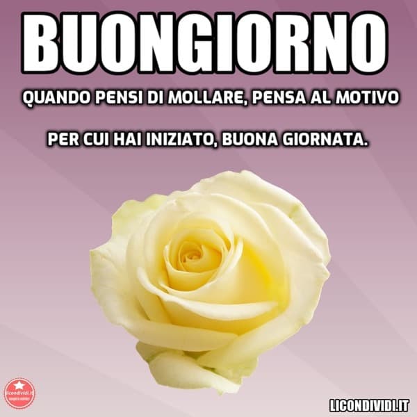 immagini buongiorno