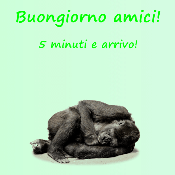 immagini buongiorno