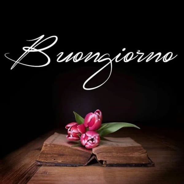 immagini buongiorno