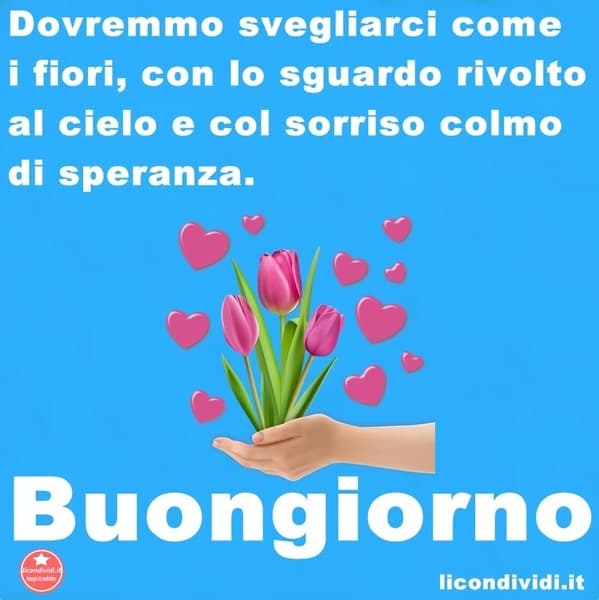 immagini buongiorno