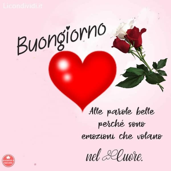 immagini buongiorno