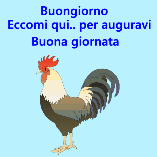 immagini buongiorno
