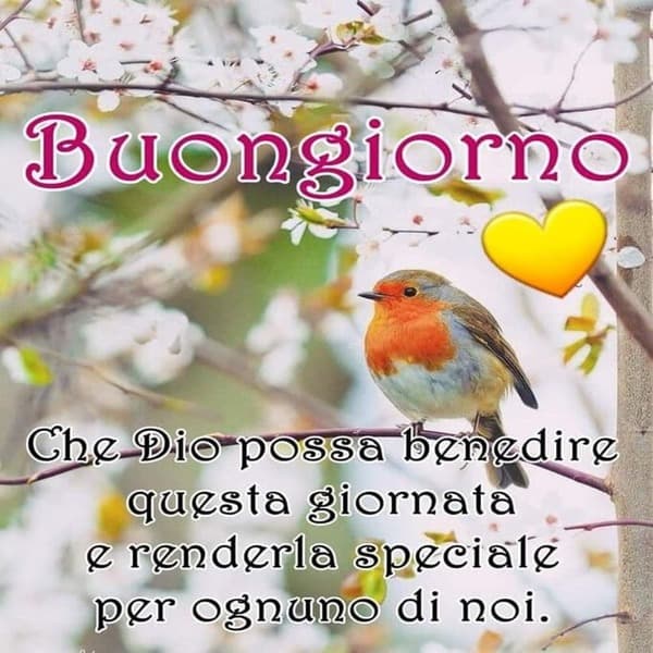 immagini buongiorno