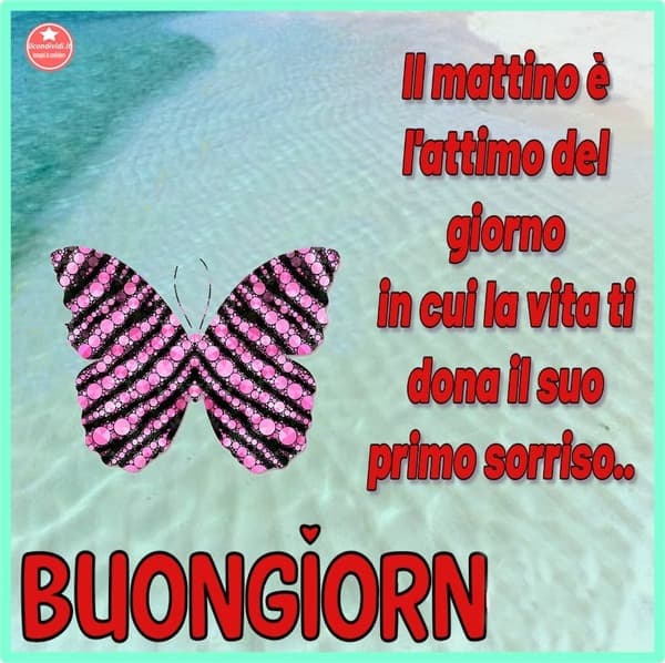 immagini buongiorno