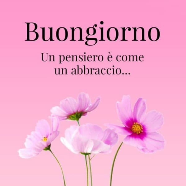 immagini buongiorno