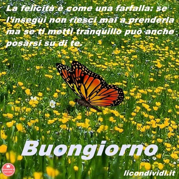 immagini buongiorno