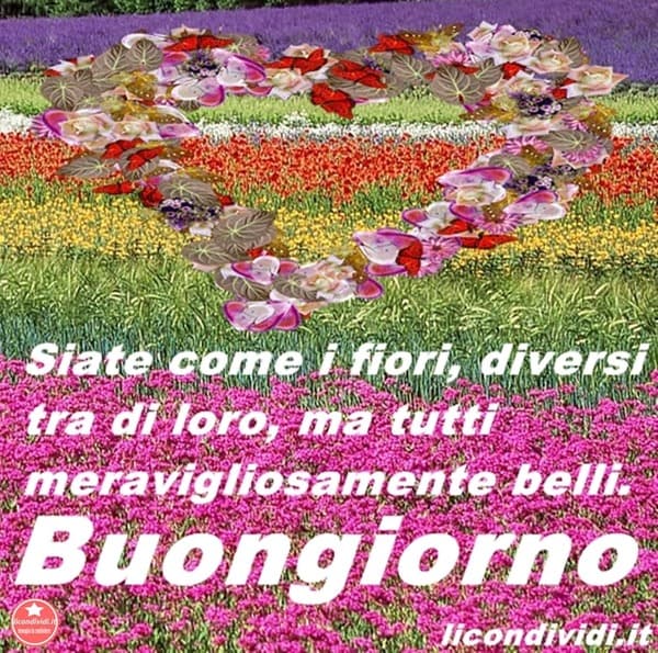 immagini buongiorno