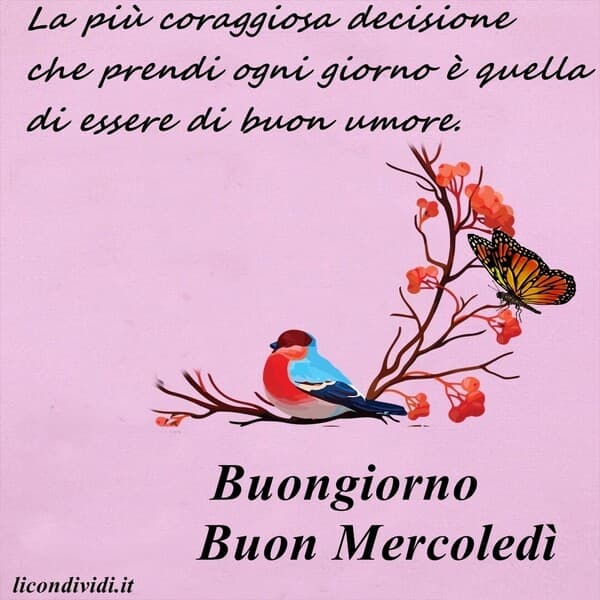 immagini buon Mercoledi