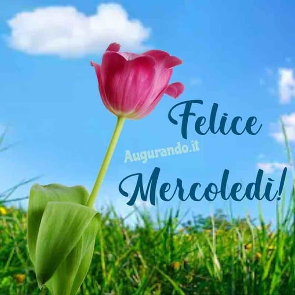 immagini buon Mercoledi
