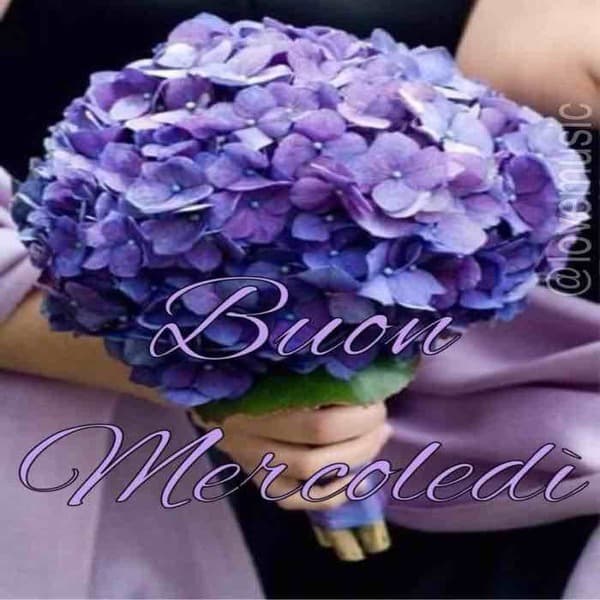 immagini buon Mercoledi