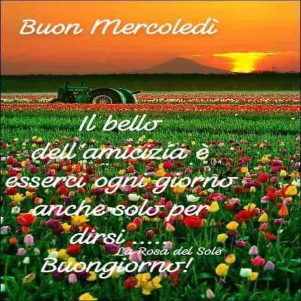 immagini buon Mercoledi
