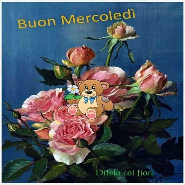 immagini buon Mercoledi