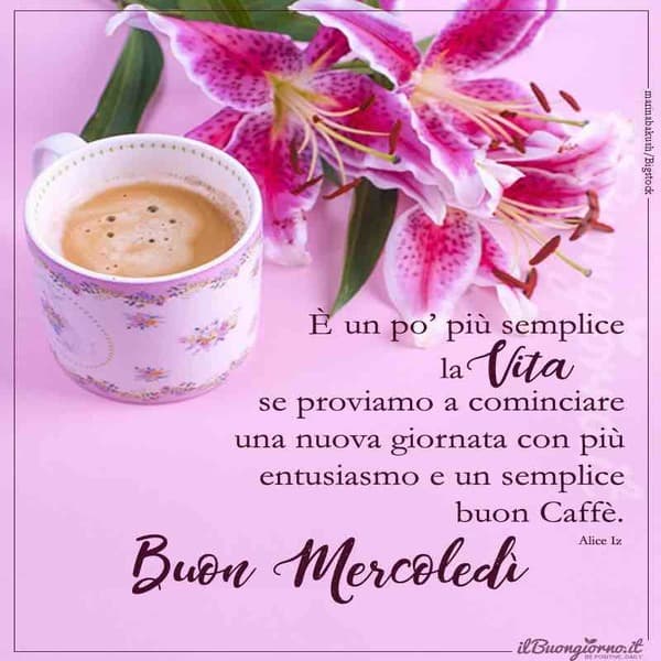 immagini buon Mercoledi