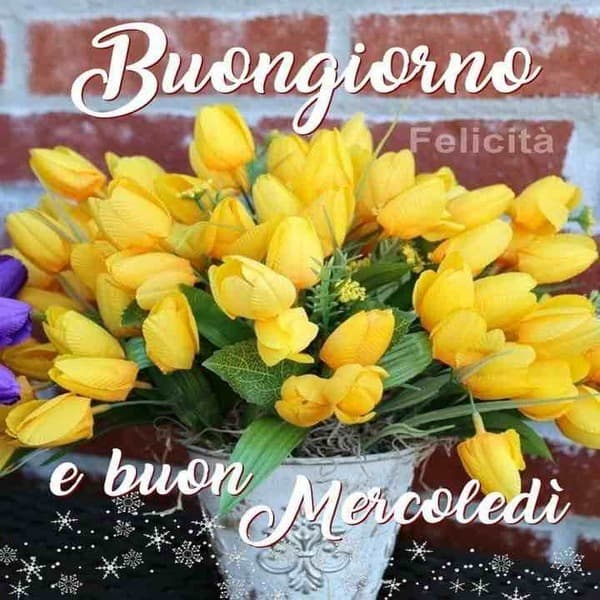 immagini buon Mercoledi