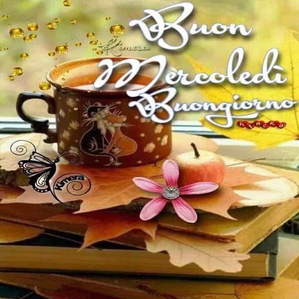 immagini buon Mercoledi