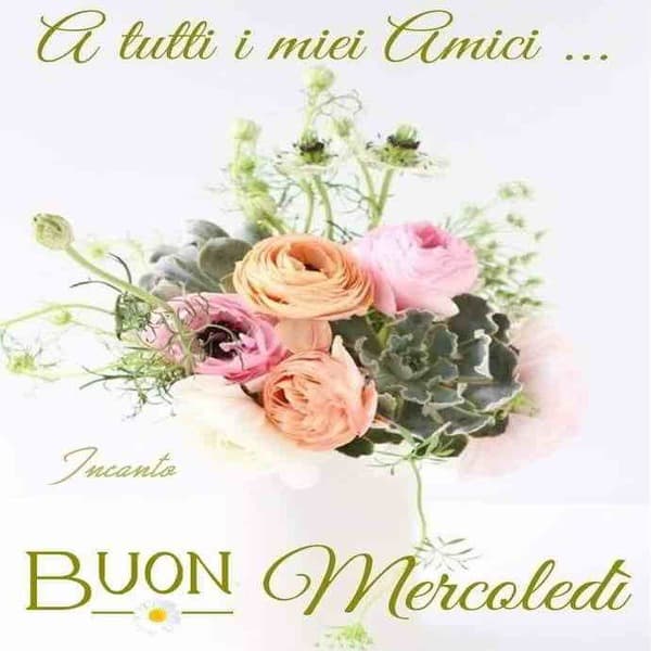 immagini buon Mercoledi
