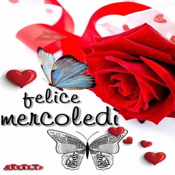 immagini buon Mercoledi