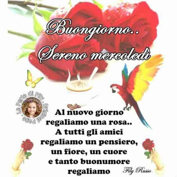 immagini buon Mercoledi