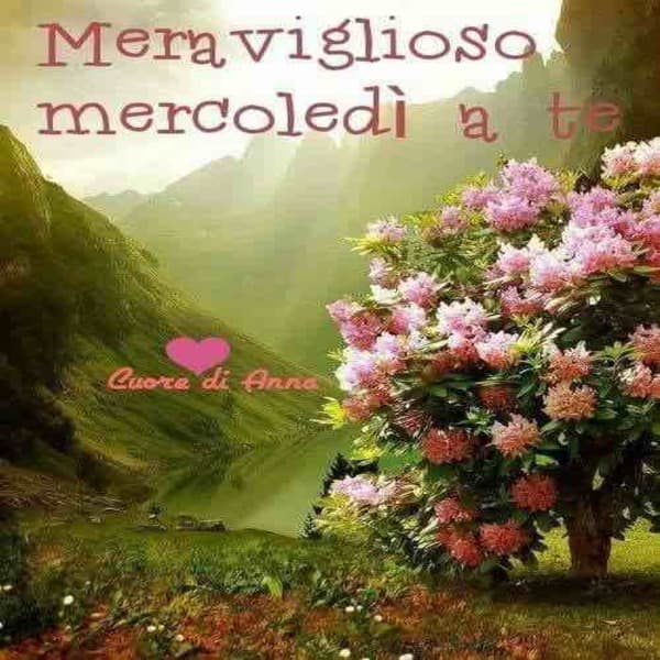 immagini buon Mercoledi