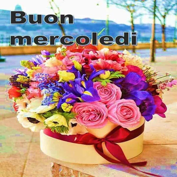 immagini buon Mercoledi
