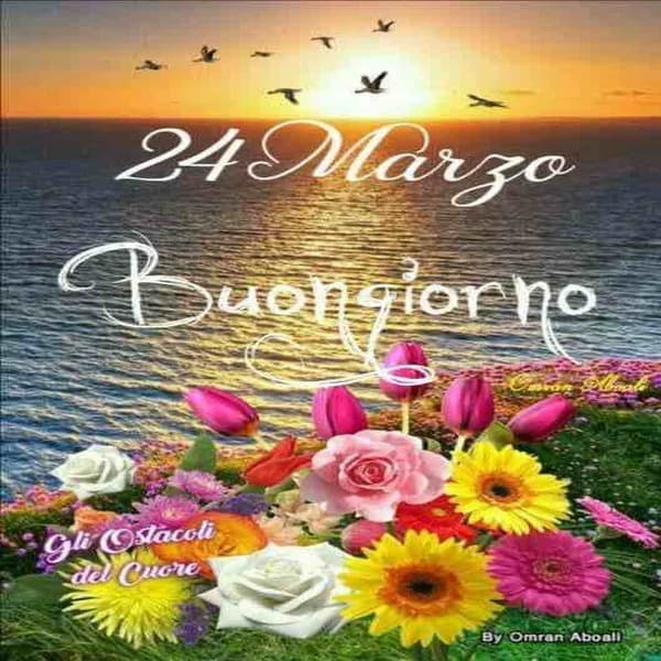 immagini buon Mercoledi