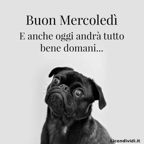 immagini buon Mercoledi