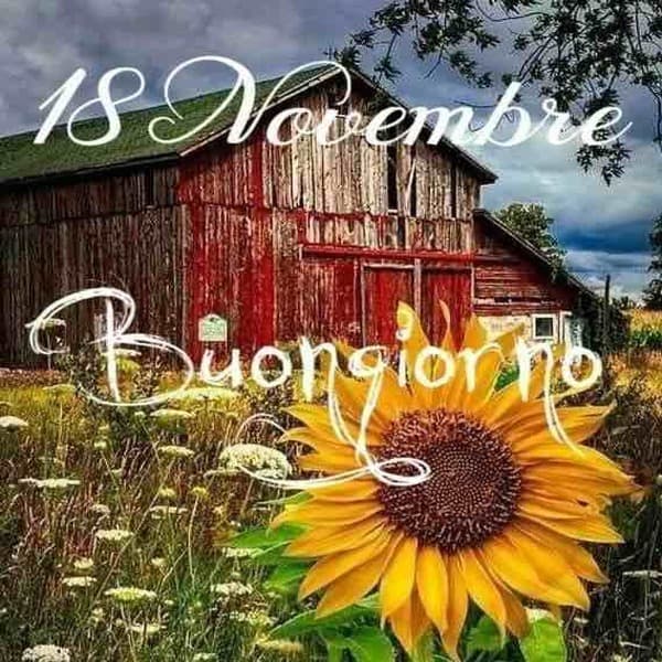 immagini buon Mercoledi