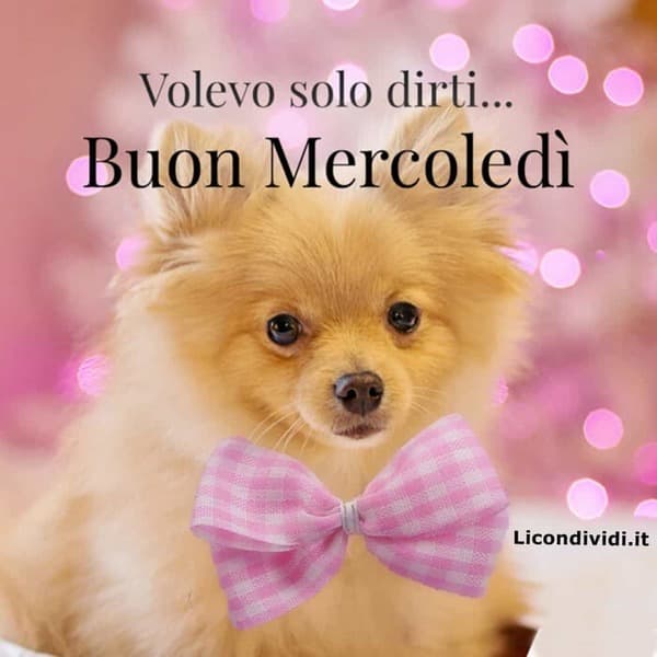 immagini buon Mercoledi