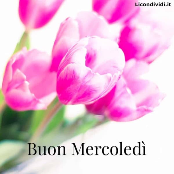 immagini buon Mercoledi