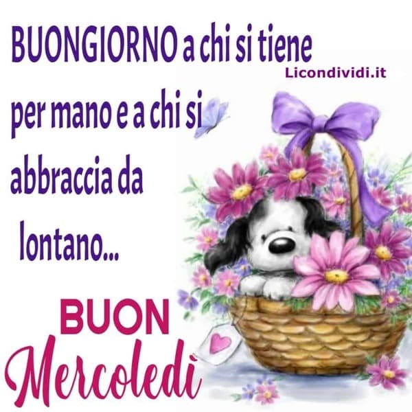 immagini buon Mercoledi